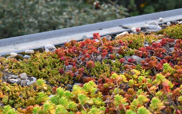 the cost of Pattingham green roof installation